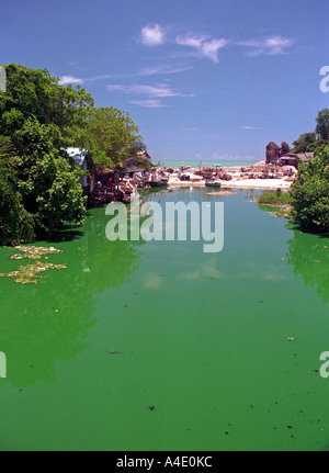 Acqua inquinata a Kao Seng, un villaggio a sud di Songkhla, nel sud della Thailandia. EA9 Foto Stock