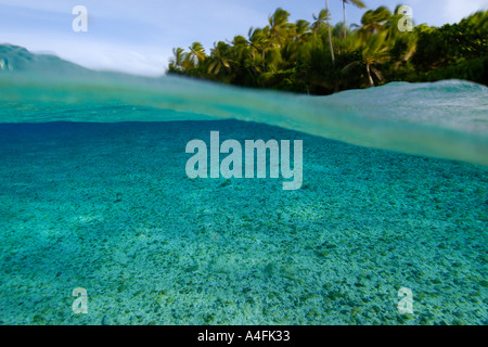 Oltre al di sotto dell'immagine di fondo di sabbia e alberi a Isola Majikin Namu atollo delle Isole Marshall N Pacific Foto Stock