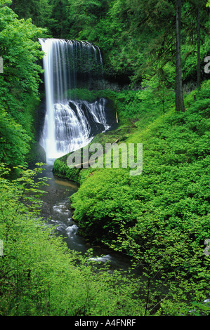 Centro nord scende a Silver Falls State Park in Salem Oregon Foto Stock