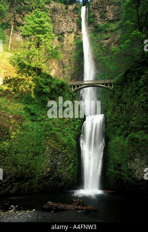 Piedi ponte che attraversa oltre i 611 ft Multnomah cade nella Columbia River Gorge in Oregon Foto Stock