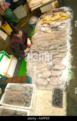 Piatti a base di frutti di mare freschi in vendita presso Nanfang ao mercato del pesce Suao taiwan repubblica popolare di Cina Foto Stock