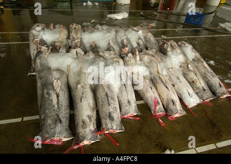 Pesce spada o carcasse billfish Nanfang ao mercato del pesce Suao taiwan repubblica popolare di Cina Foto Stock