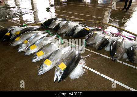 Tonno albacora carcasse Thunnus albacares Suao mercato del pesce di Taiwan Repubblica popolare di Cina Foto Stock