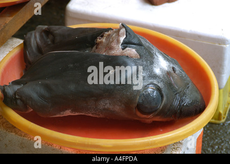 Apparato trebbiante testa di squalo Alopias sp a Nanfang ao mercato del pesce Suao Taipei Taiwan Repubblica popolare di Cina Foto Stock