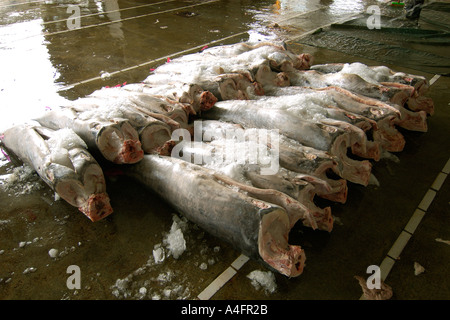 Pesce spada o carcasse billfish Nanfang ao mercato del pesce Suao taiwan repubblica popolare di Cina Foto Stock