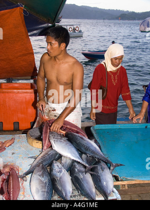 Malaysia Borneo Sabah Kota Kinabalu mercato filippino di stallo di pesce Foto Stock