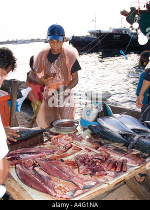 Malaysia Borneo Sabah Kota Kinabalu mercato filippino di stallo di pesce Foto Stock