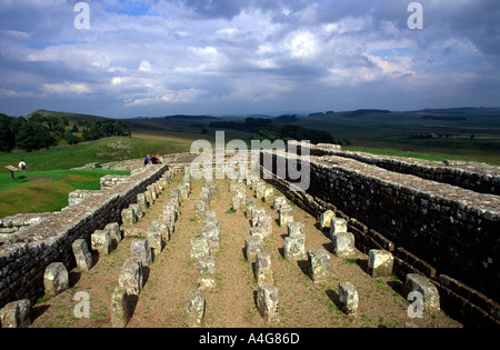 Il granaio di Housesteads Roman Fort vallo di Adriano Northumberland Inghilterra Foto Stock