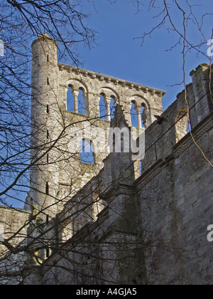 L'Abbazia Abbaye de Jumieges Rouen Calvados Normandia Francia Europa Foto Stock