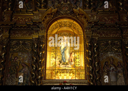 La statua della Vergine Maria nella chiesa Iglesia de San Agustin, La Orotava, Teneriffe, Isole Canarie, Spagna Foto Stock