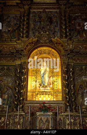 La statua della Vergine Maria nella chiesa Iglesia de San Agustin, La Orotava, Teneriffe, Isole Canarie, Spagna Foto Stock