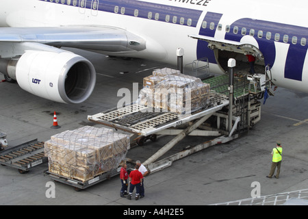 Trasporto aereo merci su pallets venendo caricato nel trasporto in stiva di un Boeing 767 aereo di linea con groundcrew Foto Stock