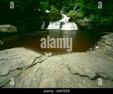 Cade in fabbrica, Childs Park, Pocono Mountains, Pennsylvania, STATI UNITI D'AMERICA Foto Stock