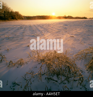 I campi agricoli in inverno al tramonto, Pennsylvania, Stati Uniti d'America, Foto Stock