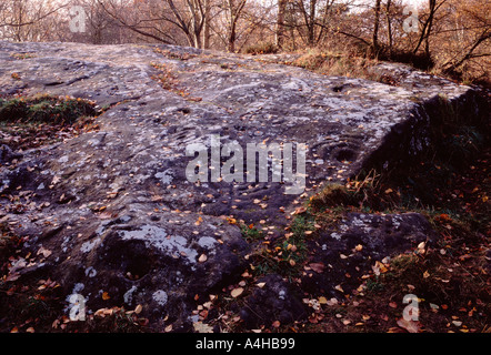 Cup e anello pietra, Roughting Linn, Northumberland Foto Stock