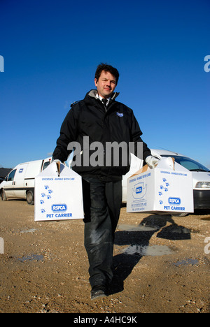 RSPCA officer a lavoro, Gran Bretagna REGNO UNITO Foto Stock