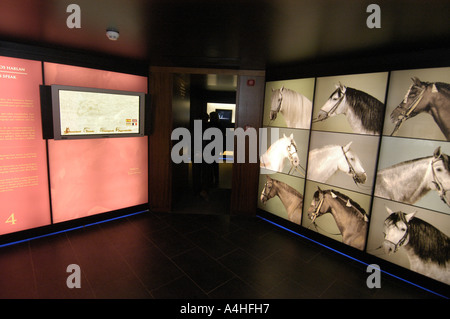 Museo delle Carrozze la Scuola Reale Andalusa di Arte Equestre di Jerez de la Frontera Cadiz Spagna Europa la restrizione non deve essere utilizzato per scopi commertial solo per usi editoriali cavallo cavalli Andalusia Mediterraneo spagnolo spagnolo pony cultura tradizione storica del cavo cantina tipica storia il potere animale forza cortijo bull tauromachia spagnola formazione treno Andalusia academy armonia luce controllo equilibrio equilibrio danza spettacolo di danza coreografia di prestazioni classico paese dressage sella di balletto selleria museo stabile tackroom Charles Garnier purebreed cadenas palace Foto Stock