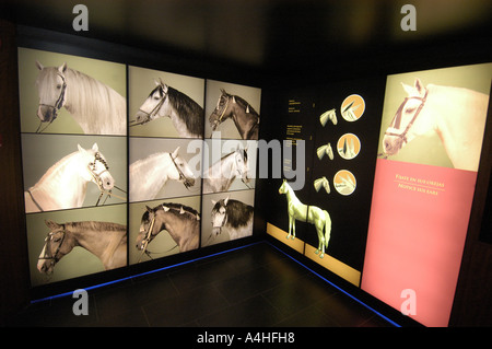 Museo delle Carrozze la Scuola Reale Andalusa di Arte Equestre di Jerez de la Frontera Cadiz Spagna Europa la restrizione non deve essere utilizzato per scopi commertial solo per usi editoriali cavallo cavalli Andalusia Mediterraneo spagnolo spagnolo pony cultura tradizione storica del cavo cantina tipica storia il potere animale forza cortijo bull tauromachia spagnola formazione treno Andalusia academy armonia luce controllo equilibrio equilibrio danza spettacolo di danza coreografia di prestazioni classico paese dressage sella di balletto selleria museo stabile tackroom Charles Garnier purebreed cadenas palace Foto Stock