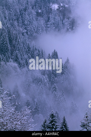 Winter scene overlooking Lauterbrunnen from Wengen Bernese Oberland Switzerland Foto Stock