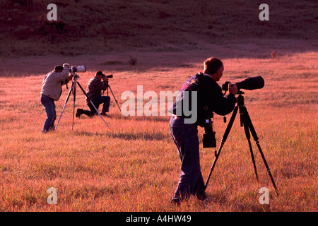 Tre fotografi di natura fotografare con telecamere montate su treppiedi Foto Stock