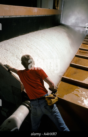 Lavoratore ispeziona la pasta di carta bagnato al fine della macchina per la fabbricazione della carta Foto Stock