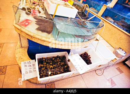 Cina Pechino ristorante di pesce a Pechino dove scegliere il pesce vivo da serbatoi sul display Foto Stock
