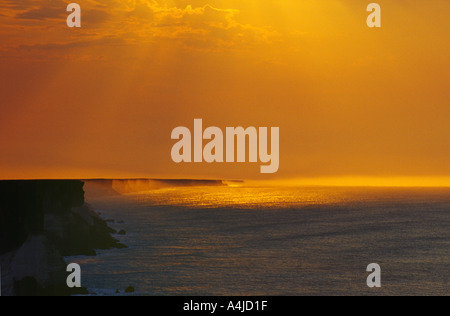 Bunda Cliffs eroso Limestone Coast grande insenatura di Australia Australia del Sud con golden spray retroilluminato a sunrise Foto Stock