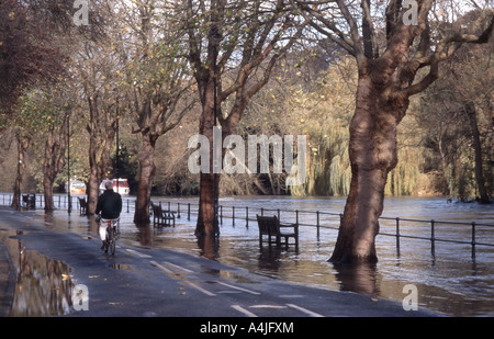 Inondati Tamigi Embankment, Boulter la serratura, Maidenhead, Berkshire, Inghilterra, Regno Unito Foto Stock