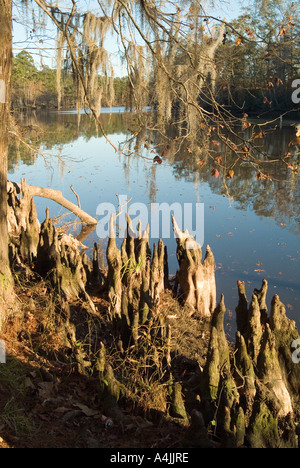 Sam Houston Park, Lago di Charles, Louisiana Foto Stock