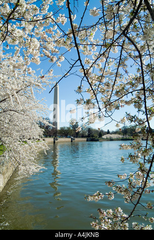 Il Monumento a Washington, Washington DC, 1884 Architetto: Robert Mills Foto Stock