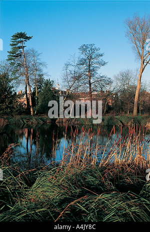 Vista attraverso parchi Universitari in inverno, fiume, Oxford Foto Stock