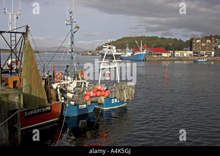 I pescherecci da traino e i pescherecci ormeggiata nel porto di Oban, Argyll & Bute, Scozia Foto Stock