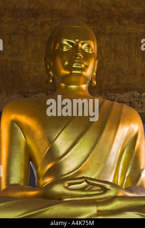 Golden statua del Buddha a Vincennes tibetano tempio buddista - Parigi, Francia Foto Stock