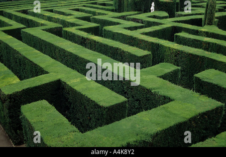 labirinto del labirinto Foto Stock