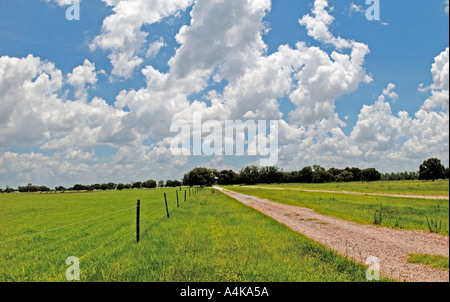 Strada di argilla e soffici nuvole bianche e verdi del campo di erba Foto Stock
