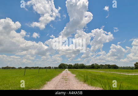Strada di argilla e soffici nuvole bianche e verdi del campo di erba Foto Stock