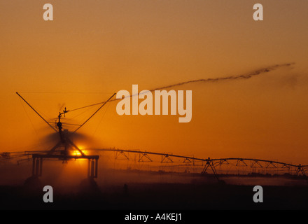 Sistema di irrigazione nel campo Foto Stock