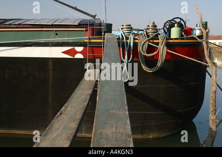 Francia, Cote-d'Or, Saint-Jean-de-Losne, chiatta sul fiume Saone Foto Stock