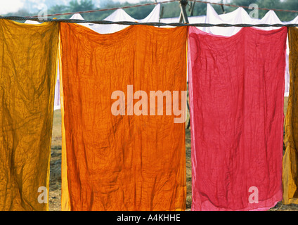 India, Uttar Pradesh, fogli colorati appesi vestiti-line Foto Stock