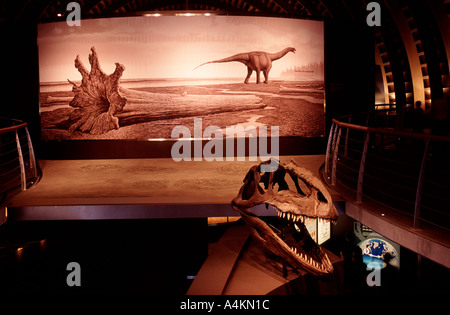 Museo Jurasico de Asturias Spagna Foto Stock