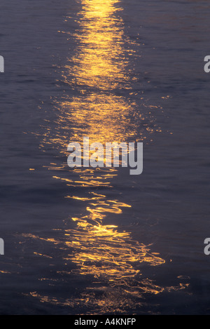 Tramonto sul Pacifico a James Fitzgerald riserva marina, CALIFORNIA, STATI UNITI D'AMERICA Foto Stock