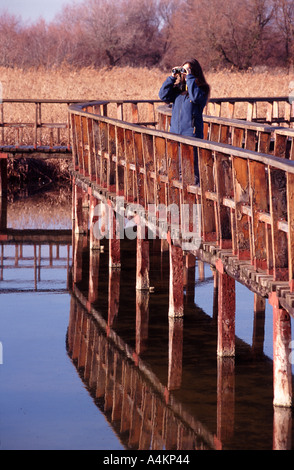 Parque Nacional de las Tablas de Daimiel Ciudad Real Spagna Foto Stock