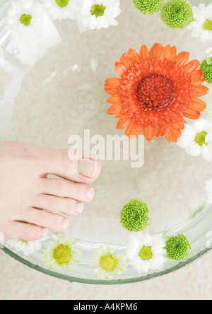 I piedi femminili e vaso di fiori galleggianti in acqua Foto Stock