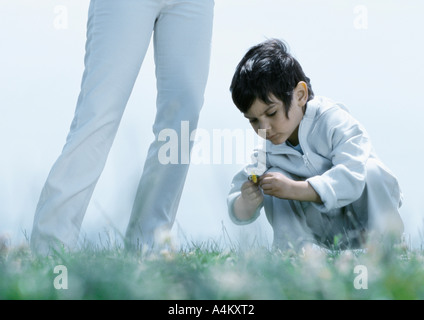 Piccolo ragazzo rannicchiato su erba guardando fiore, accanto alla donna per le gambe Foto Stock