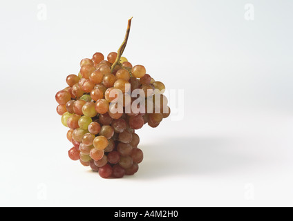 Grappolo di uva rossa Foto Stock
