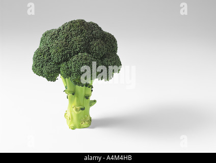 Broccolo Foto Stock