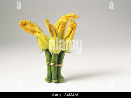 Piccole zucchine con fiore Foto Stock