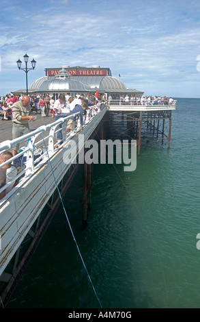 La pesca dei granchi off Cromer Pier oltre il mare del Nord, Cromer località balneare, Norfolk, Inghilterra, Regno Unito Foto Stock