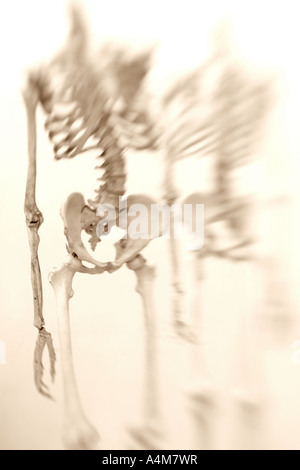 Chiave di alta immagine artistica di due piedi scheletri umani Foto Stock