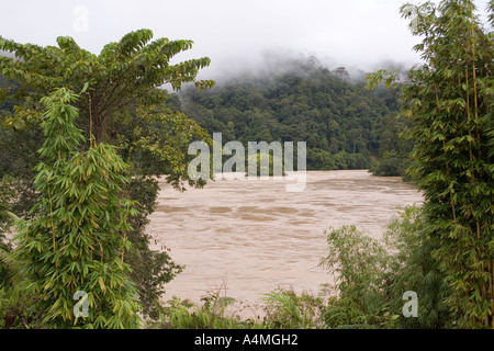 Borneo malese Sarawak Fiume Rejang Pelagus Rapids e la foresta pluviale in early MORNING MIST Foto Stock